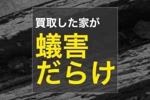 不動産売却  シロアリ祭り開催されました