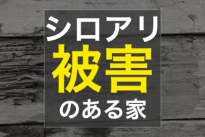 不動産売却  シロアリ被害がありました